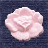 �ܤ��󣲡��Ǥ�ʪ��10����