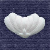 ���ơ��Ǥ�ʪ��10����