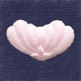 ���ƣ����Ǥ�ʪ��10����