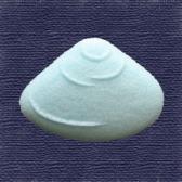 �����Ǥ�ʪ��10����