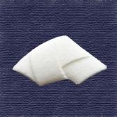 ���ʸ���Ǥ�ʪ��10����