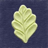 ����ա��Ǥ�ʪ��10����