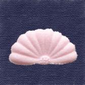 Ⱦ�ơ��Ǥ�ʪ��10����